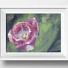 A Pink Tulip Floral Flower Original Oil Painting Andrew Gaia With Frame