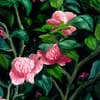 Japanese Camellia Oil on Board Floral