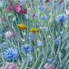 Spring Flower Field Oil Painting Andrew Gaia