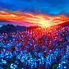 Andrew Gaia Bluebonnet Landscape Oil Painting Fire to Flowers
