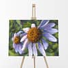Wild Aster Flower Oil Painting Mock 2 Andrew Gaia