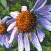 Wild purple aster flowers oil painting andrew gaia