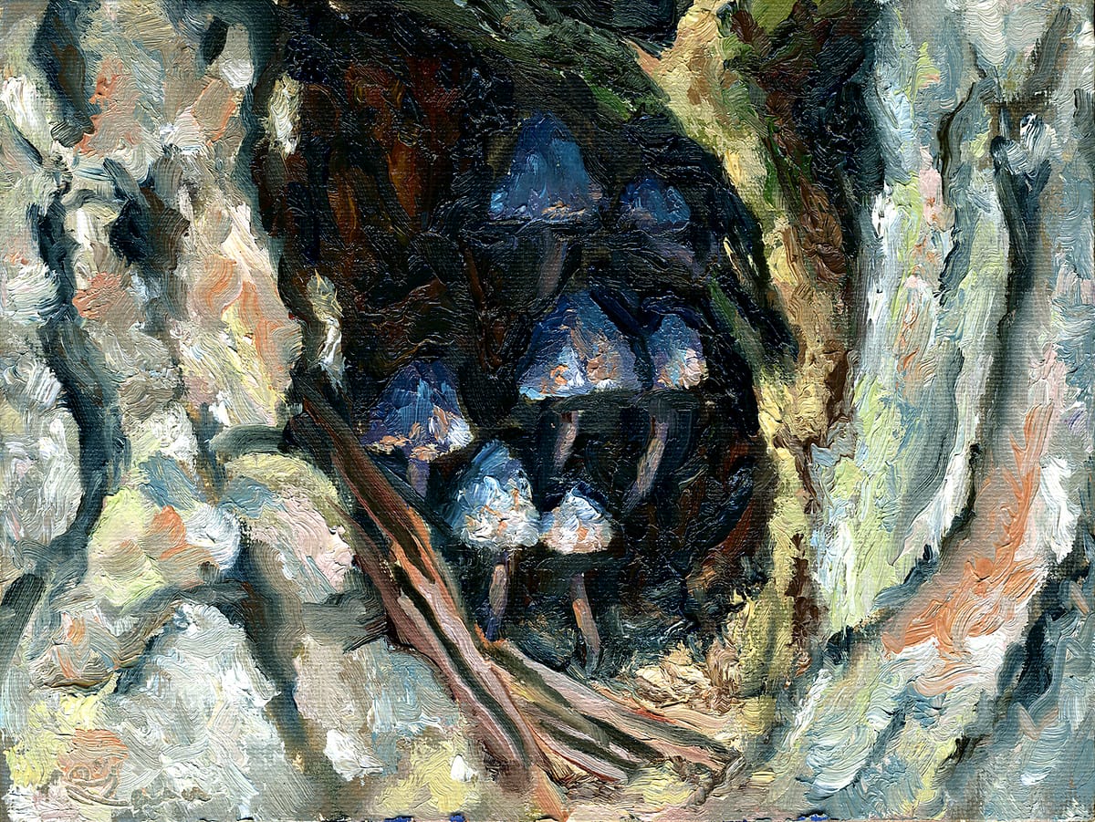 mushroom in tree hole 1500