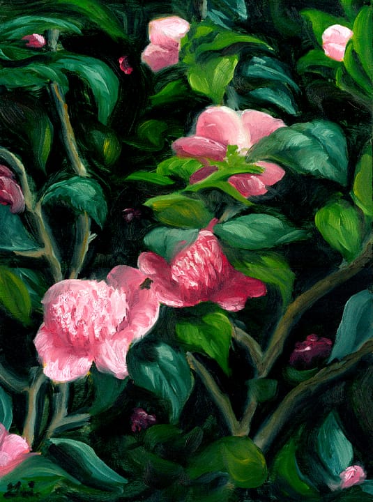 Pink Japanese Camellia Oil Painting on Board Floral