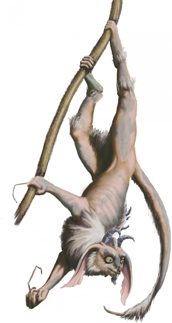 demon lemur creature illustration hairless aye aye