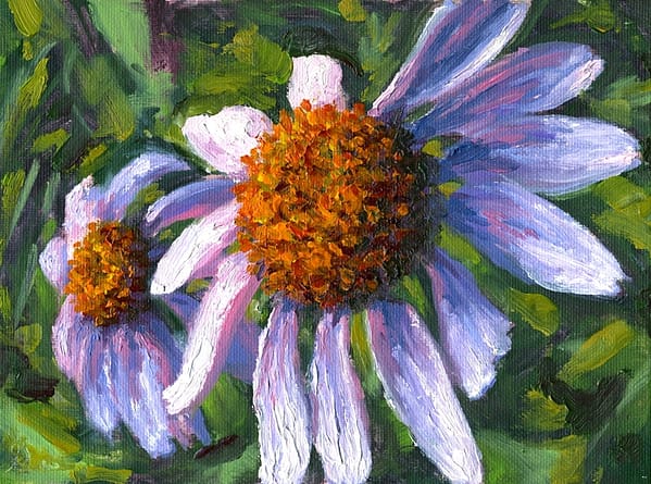 Wild purple aster flowers oil painting andrew gaia