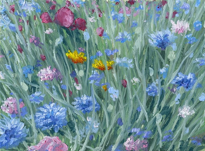 Spring Flower Field Oil Painting Andrew Gaia