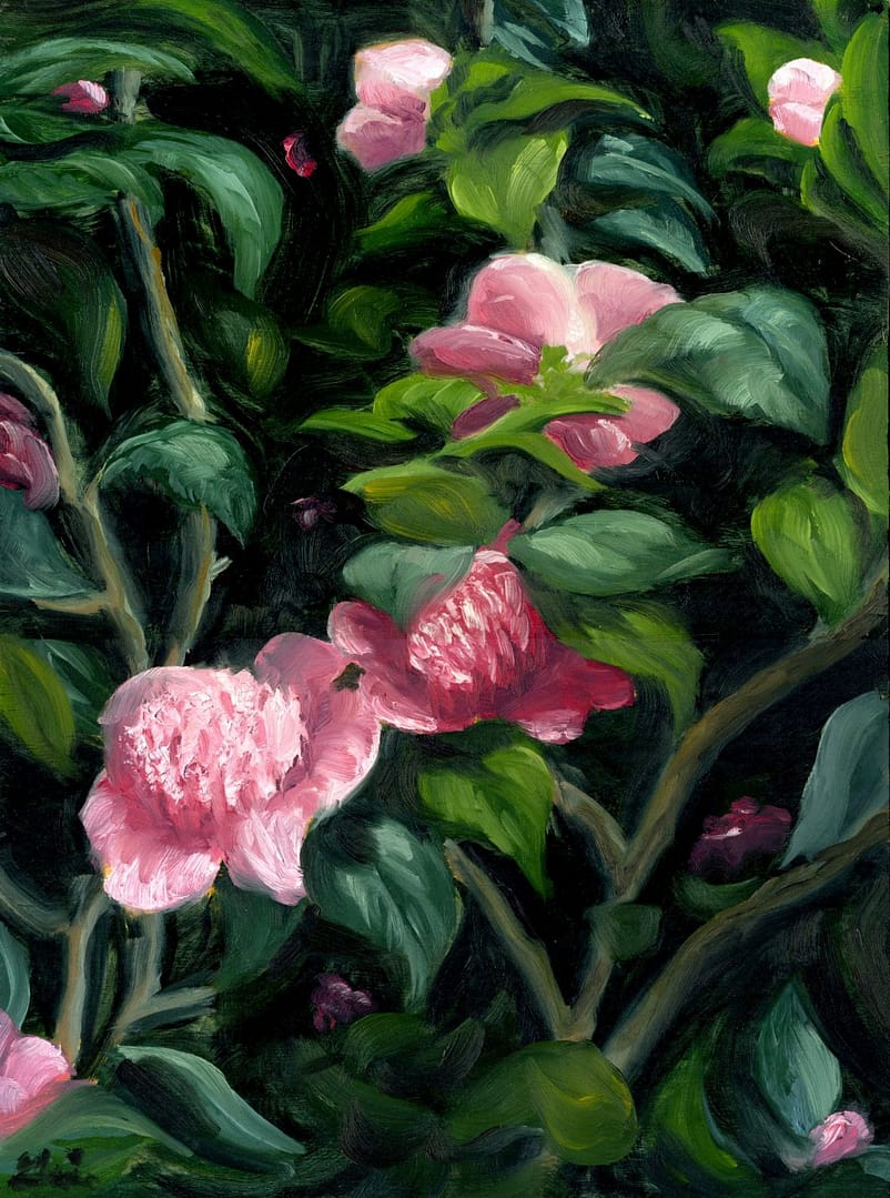 Japanese Camellia Oil on Board Floral