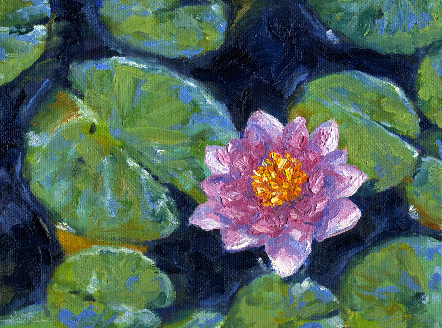 Pink & Purple Lotus, Lily Pads Pond